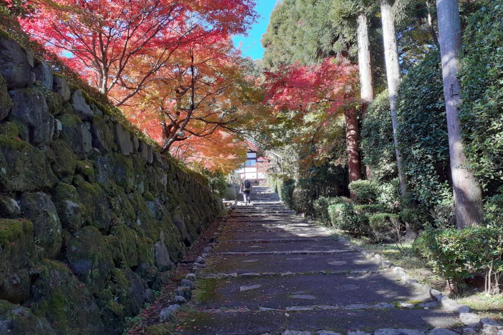 Approach to Shodenji in Kyoto showered with maples