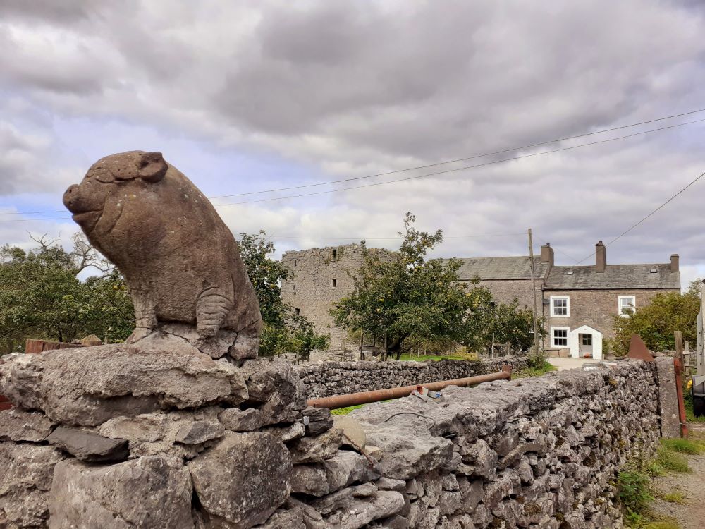 Pig and pele tower guard the farm in Hazelslack