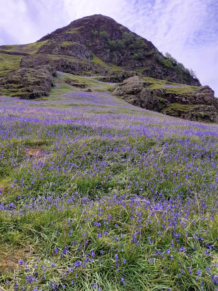 Bluebell carpet at the foot of Rannderdale Knotts