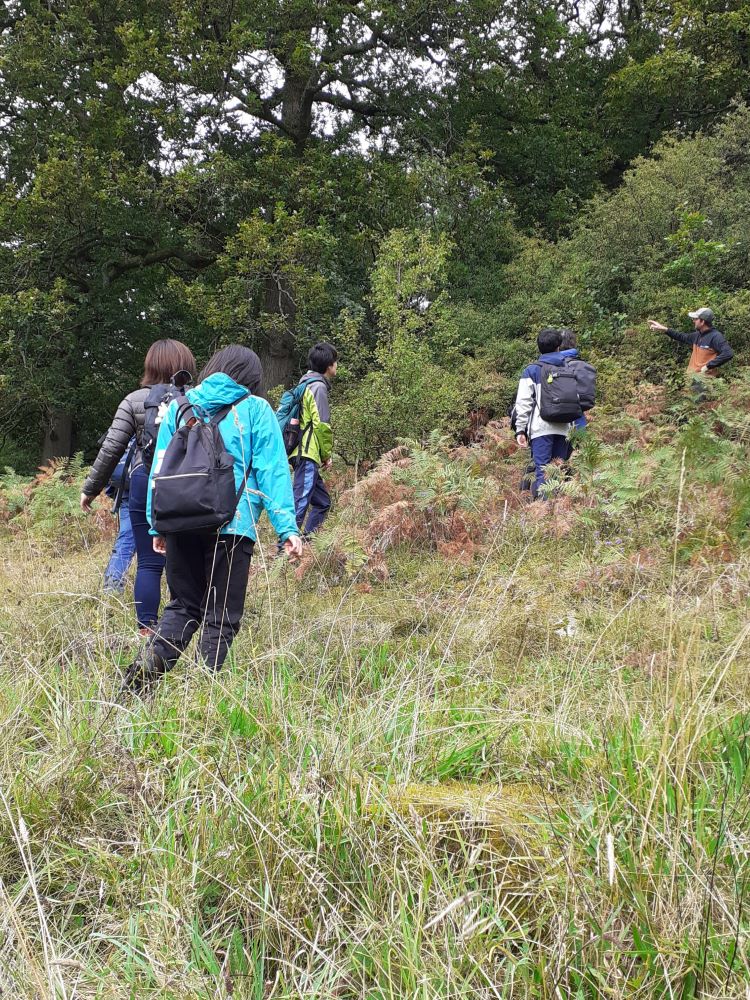 Students head off the path in search of oak saplings